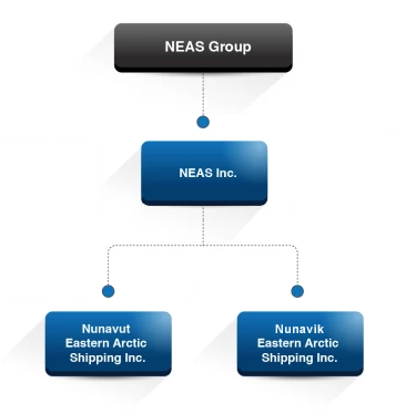 NEAS Corporate Structure